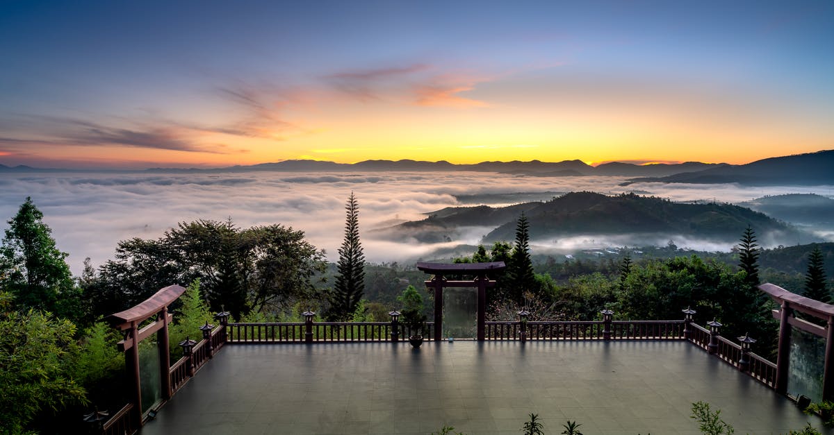 Overstaying visa in Vietnam by 5(!) minutes - Green Trees Near Body of Water during Sunset