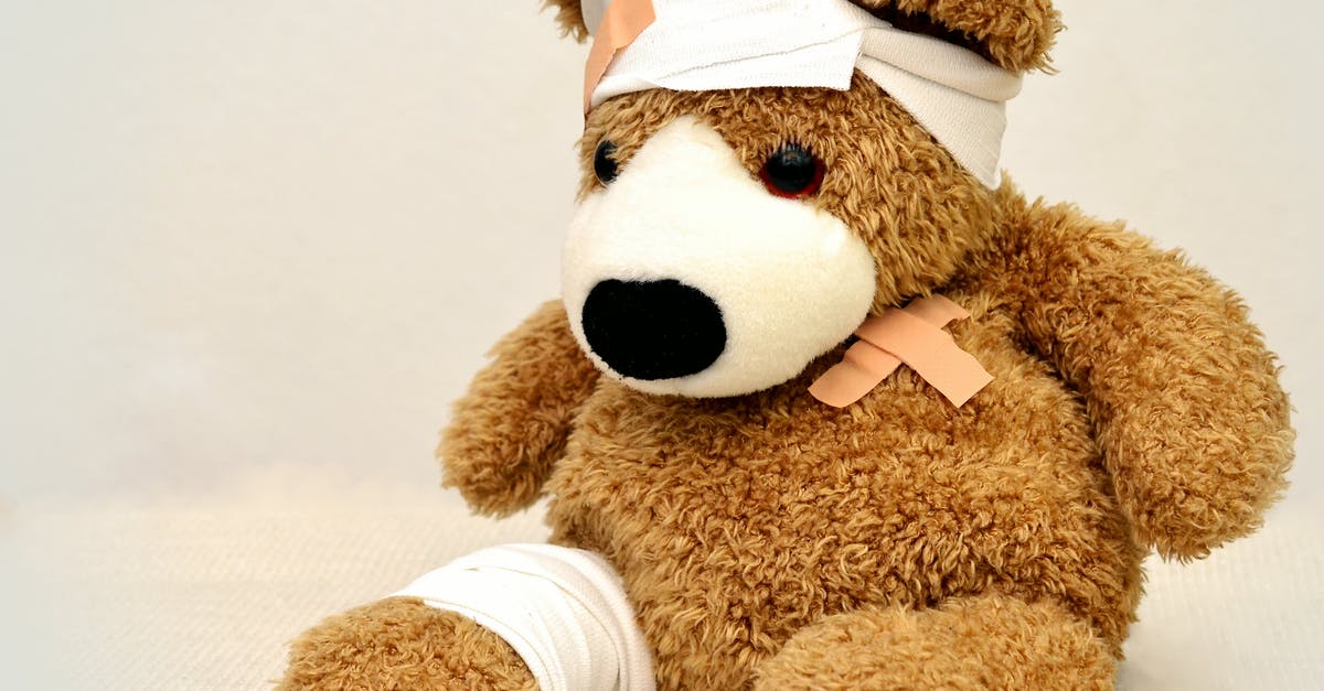 Pain management emergency in Mexico - Brown and White Bear Plush Toy