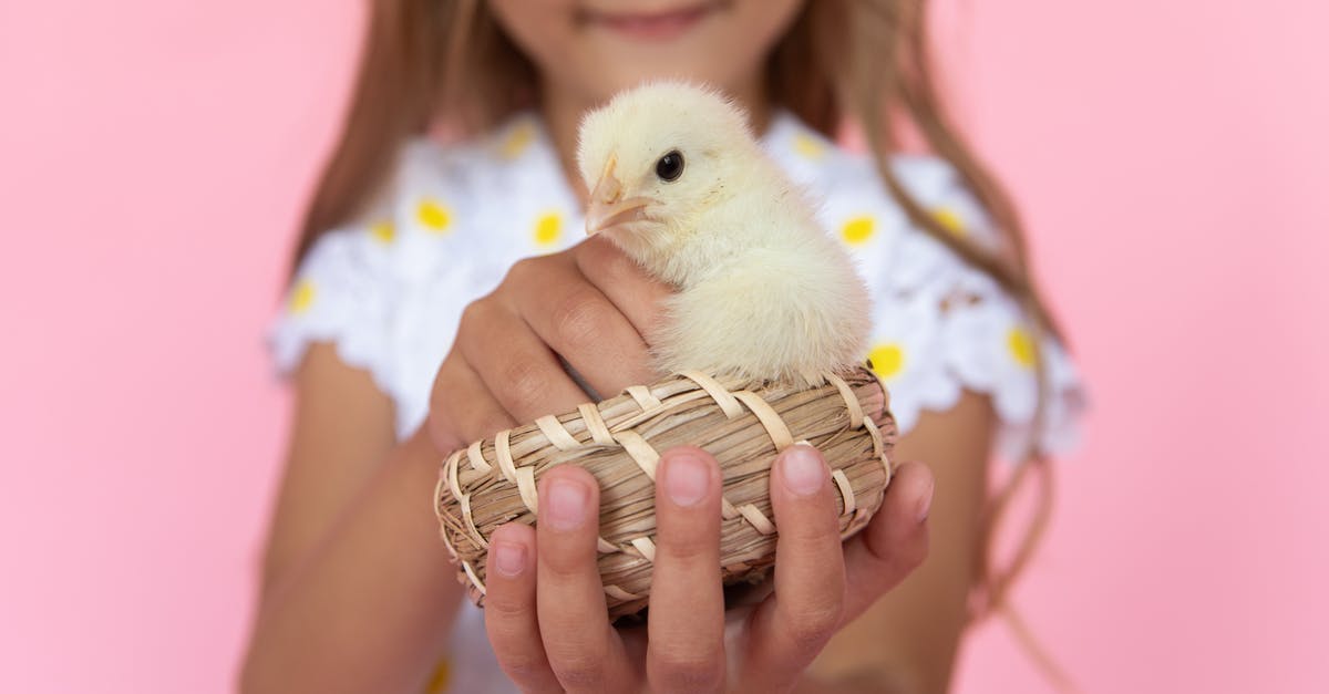 Paris at Easter - Little Girl Holding a Chick 