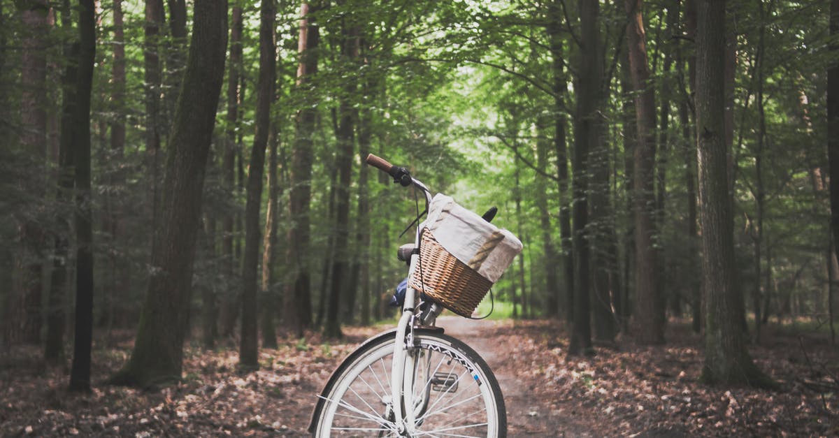 Park and Ride in Copenhagen - City Bicycle in the Middle of Forest Trail