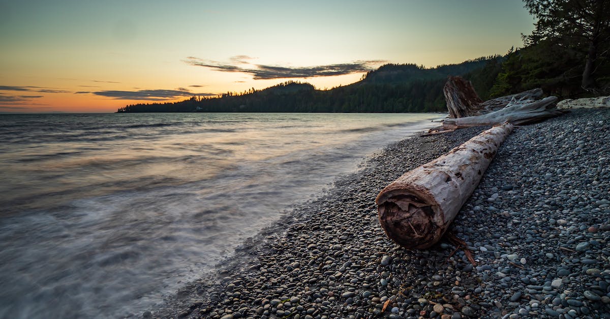 Parking for 3 - 4 days in Vancouver, BC - Brown Wood Log On Shore