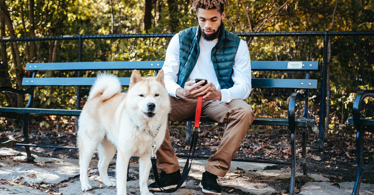 Parking via SMS in Sofia, Bulgaria - Concentrated ethnic guy browsing smartphone while resting in park with obedient dog