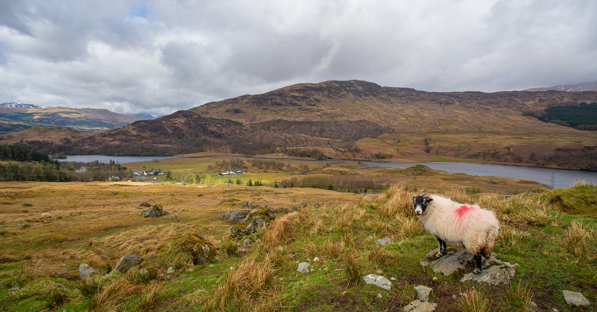 Parts of Scotland without sheep - Grassland Around A Mountain