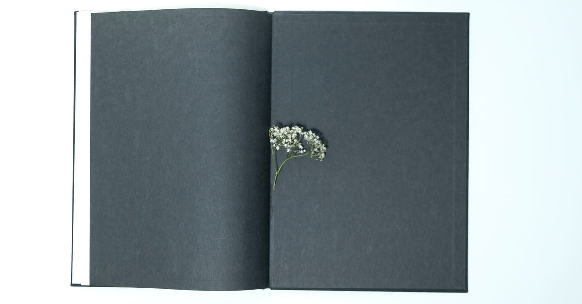 Passport book cover is slightly detached from page - Top view of opened book with black pages with small thin twig of white gypsophila plant