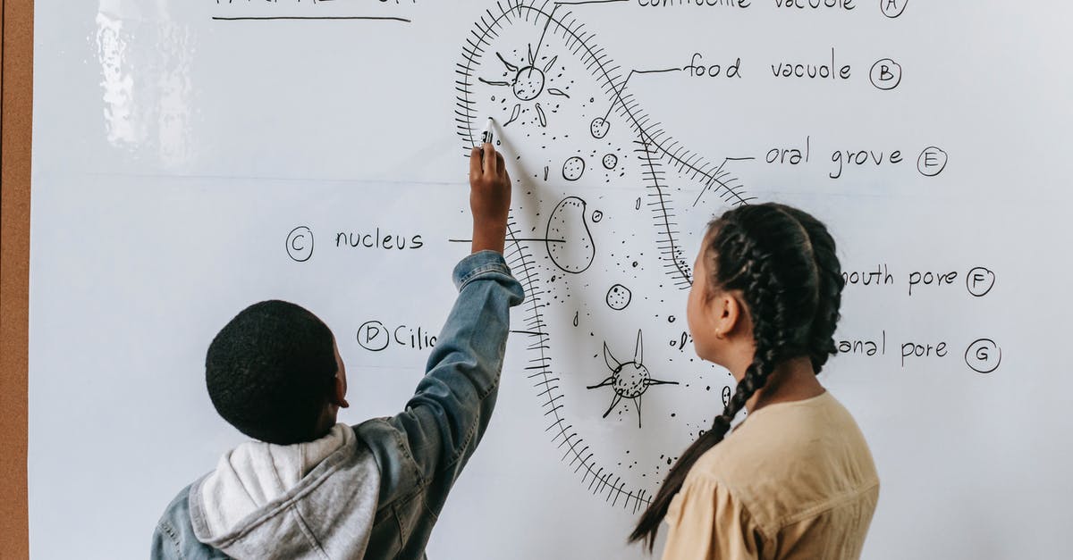 Passport Renewal Data Question - Back view of anonymous multiracial children drawing scheme of Infusoria organism on whiteboard in classroom