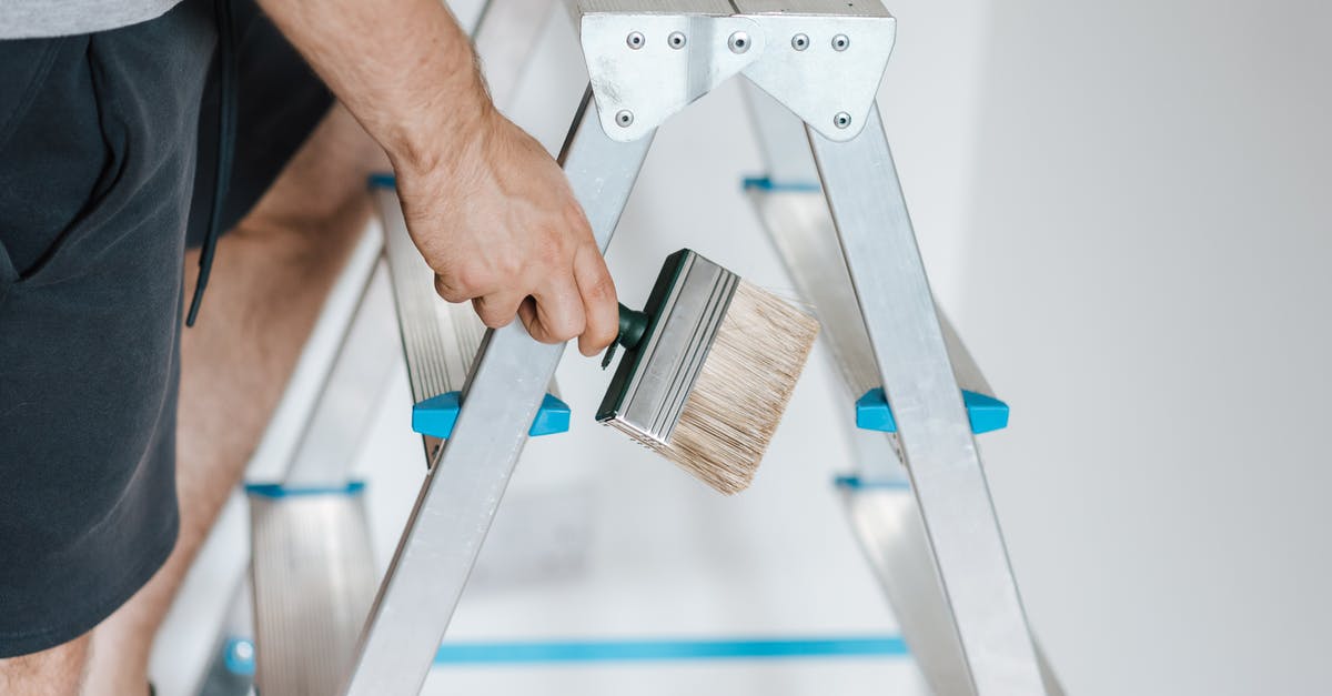 Passport Renewal [duplicate] - Painter with brush climbing ladder during renovation work