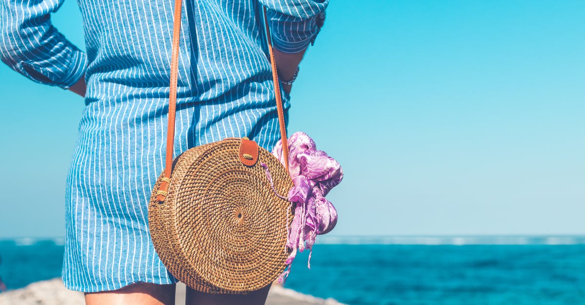 Pegasus 20-kg travel allowance: one bag or multiple bags? - Woman Wearing Blue and White Striped Dress With Brown Rattan Crossbody Bag Near Ocean