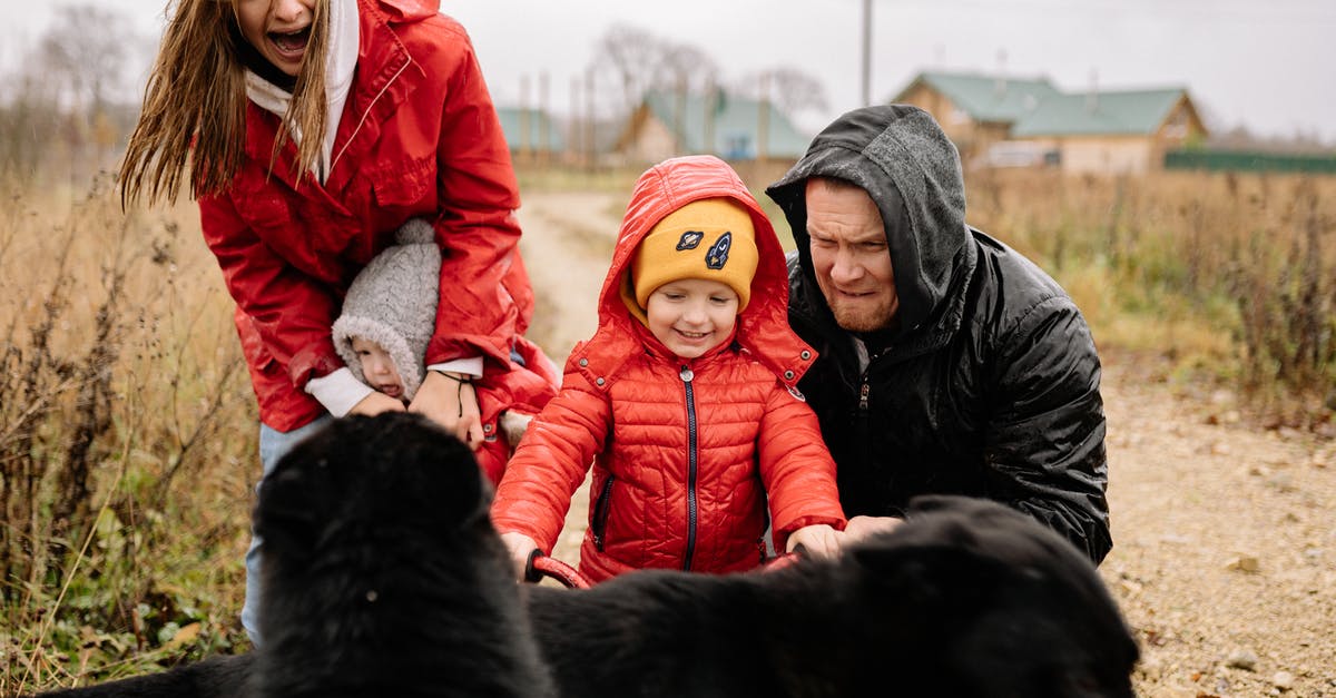 Pets outside of cages/kennels on planes? - A Family Outside with Their Pet Dogs