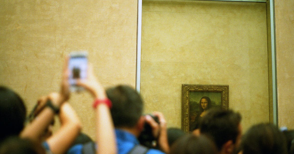 Photographers in Latvia, Riga and Tallinn [closed] - Selective Focus Photo of Group of People Taking Picture of Mona Lisa Painting