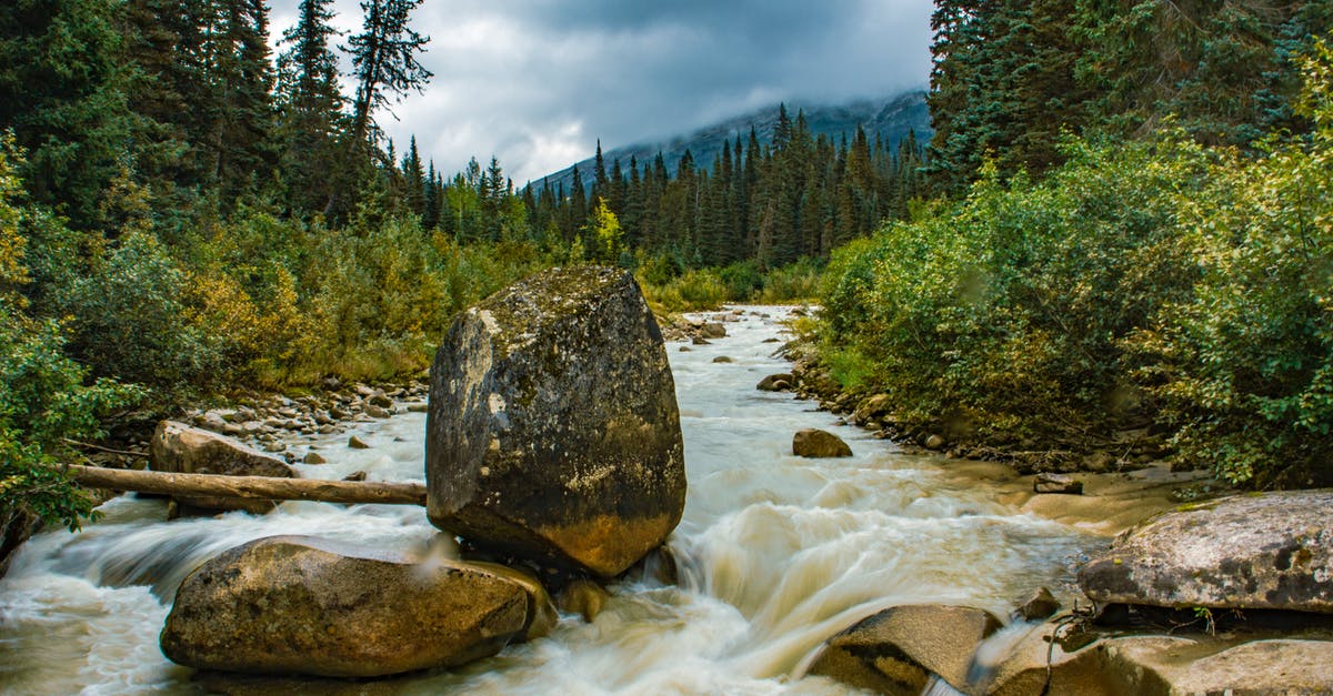 Picking between United, Delta, Alaska and Virgin Atlantic membership - Rocks in the Flowing Water in a Stream