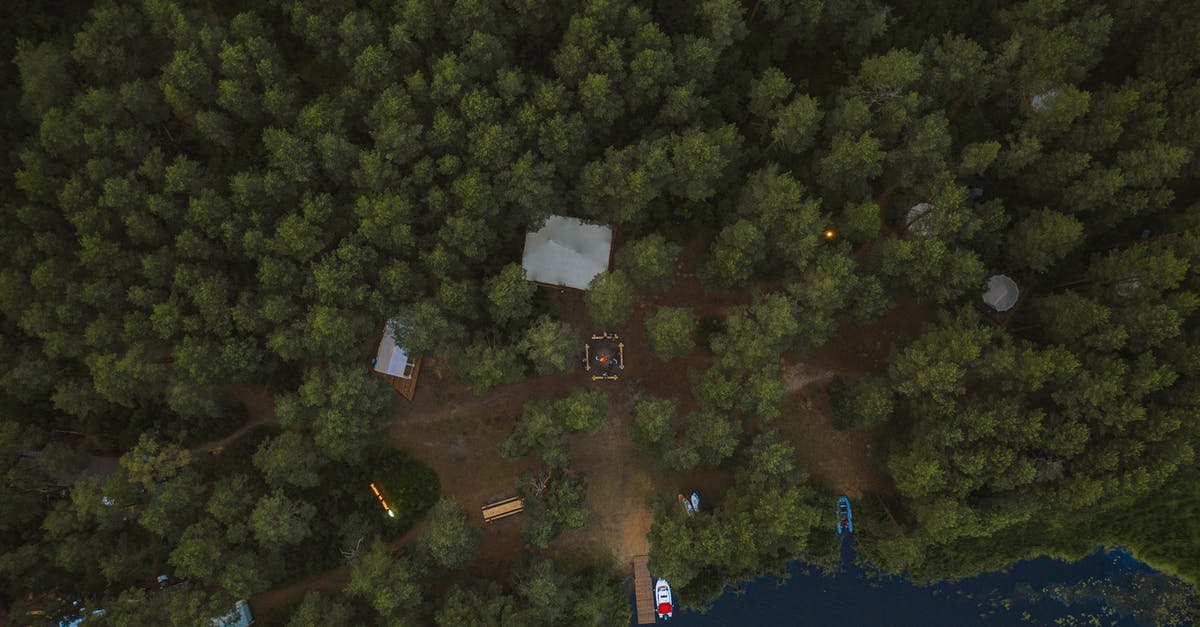 Pitching own tents at Sambhar lake in Rajasthan? - Aerial View of Green Trees Surrounding a Campsite