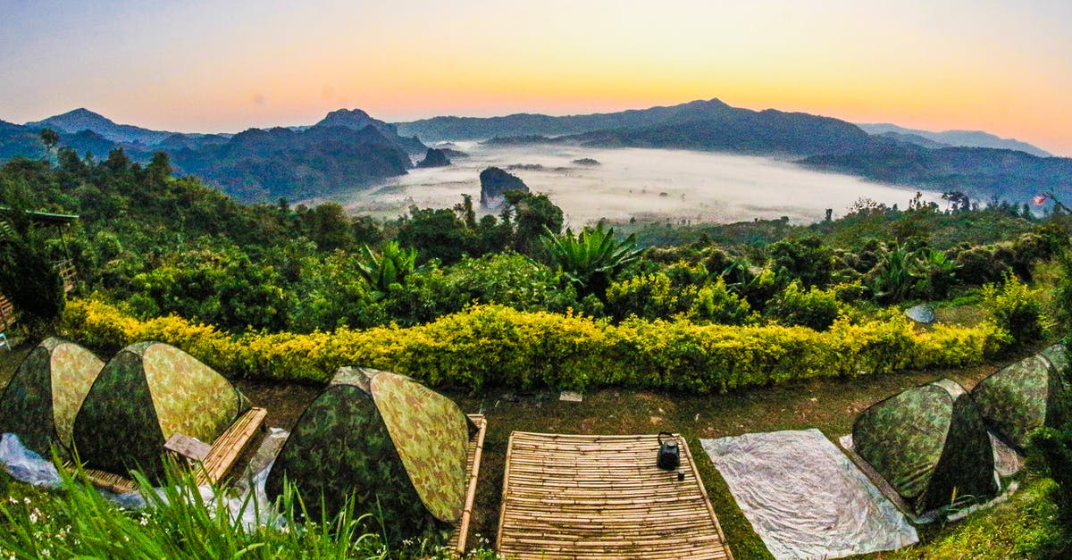 Pitching own tents at Sambhar lake in Rajasthan? - Green Trees