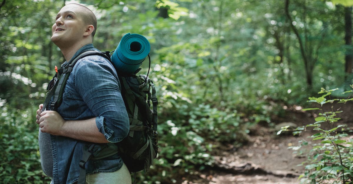 Plus Size Traveling Spirit BFS - Side view of overweight smiling man travelling through green lush woods and enjoying vacation in nature