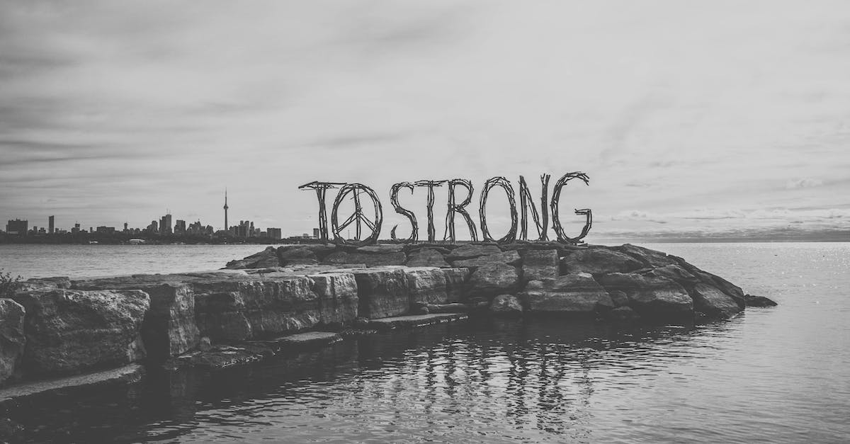Port of Entry travelling from Toronto (Pearson) to US? - Black and white big inscription To strong with Peace symbol located on stone pier against calm sea and Toronto cityscape