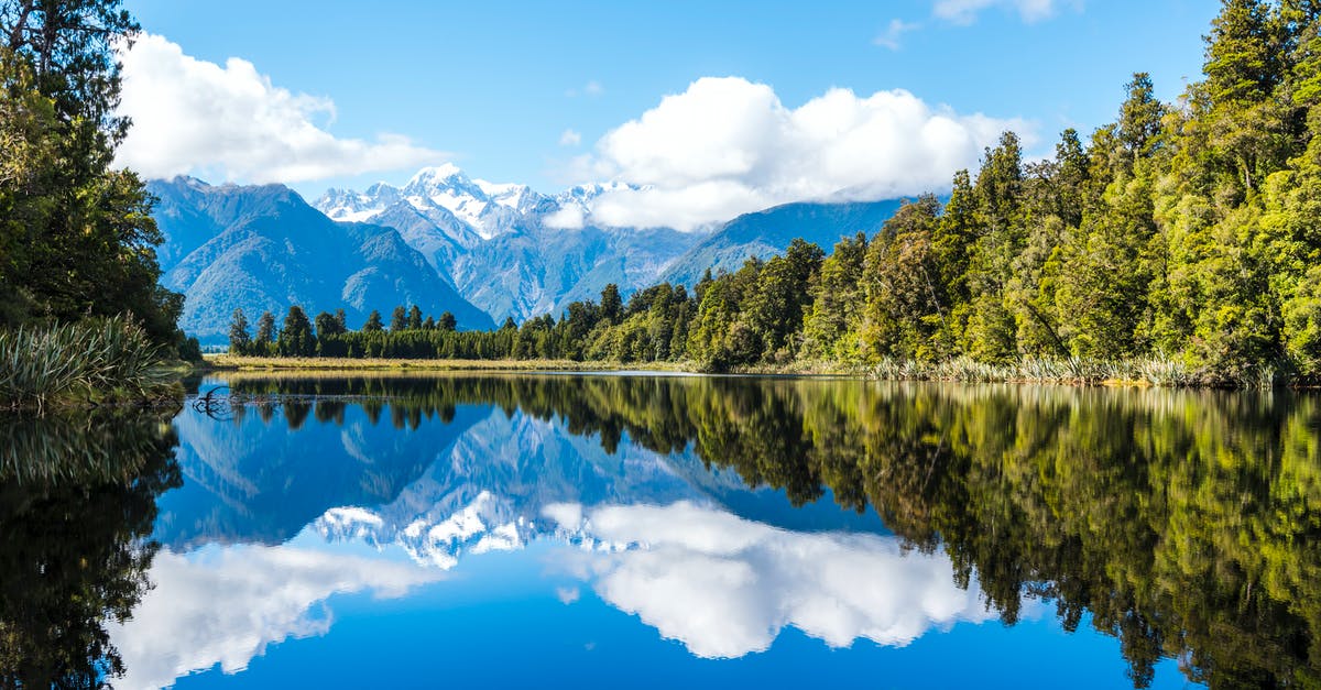 Possible to Travel to A Quiet Place? - Lake Near Forest