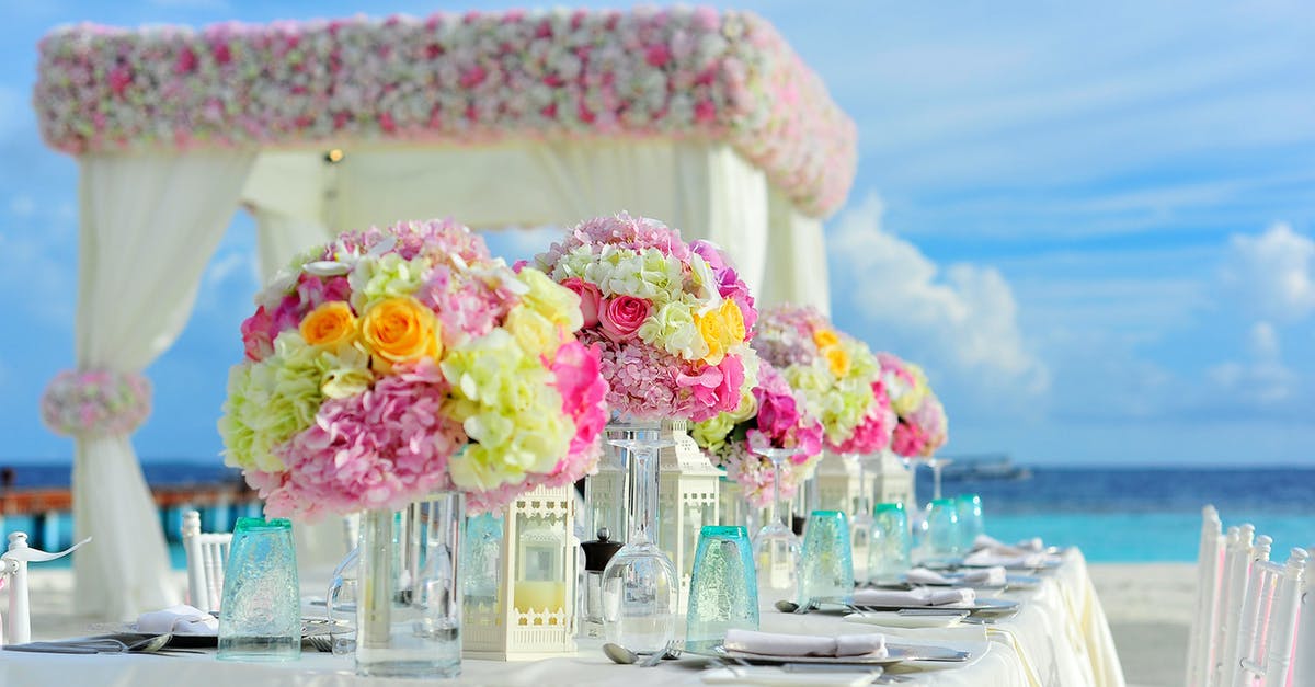 Price limits for self-arranged hotel after flight cancellation - Yellow and Pink Petaled Flowers on Table Near Ocean Under Blue Sky at Daytime