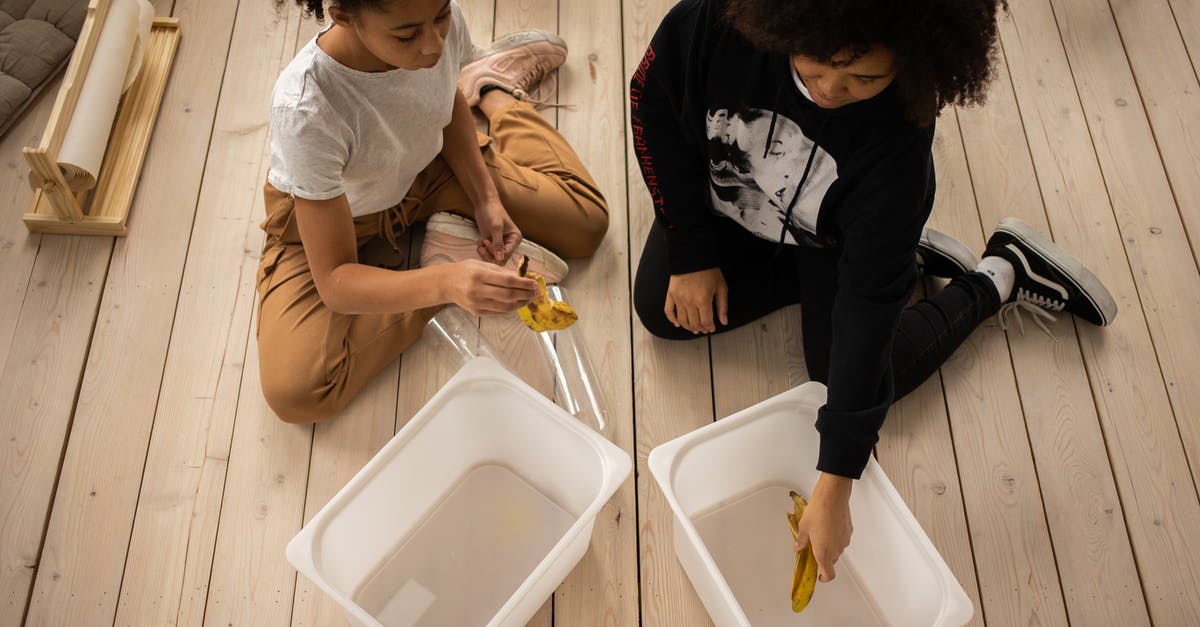 Processing of visa from Govt website vs VFS Global - Black mother and daughter sorting garbage into containers