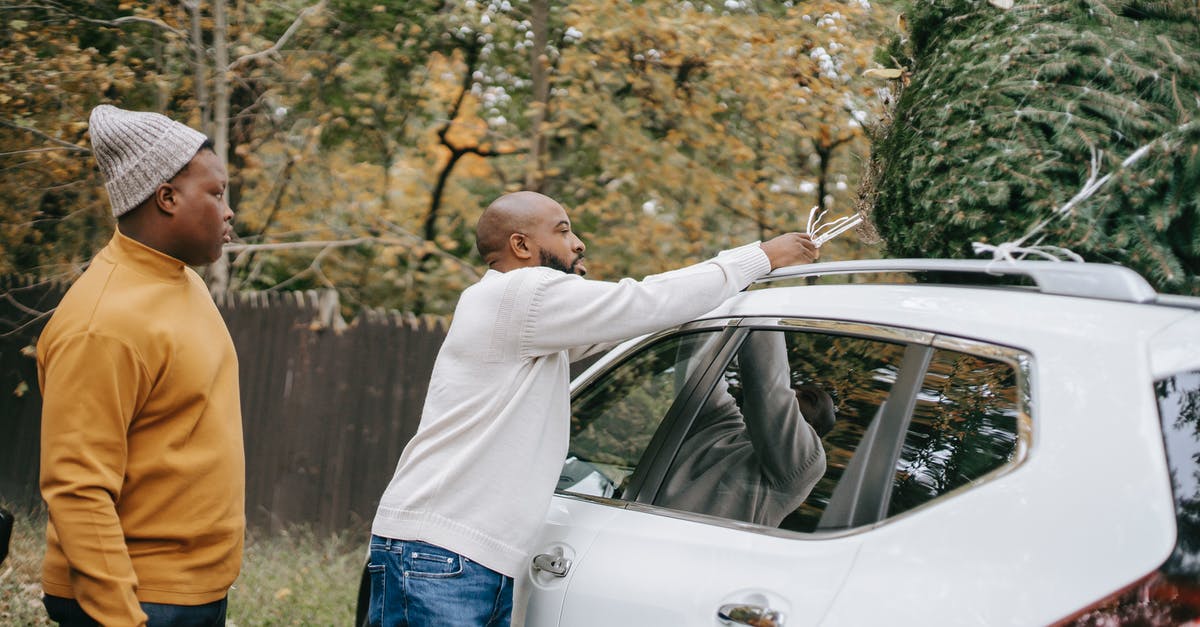 Processing time of a working holiday visa in New Zealand - Ethnic man tying fir tree on car roof near son