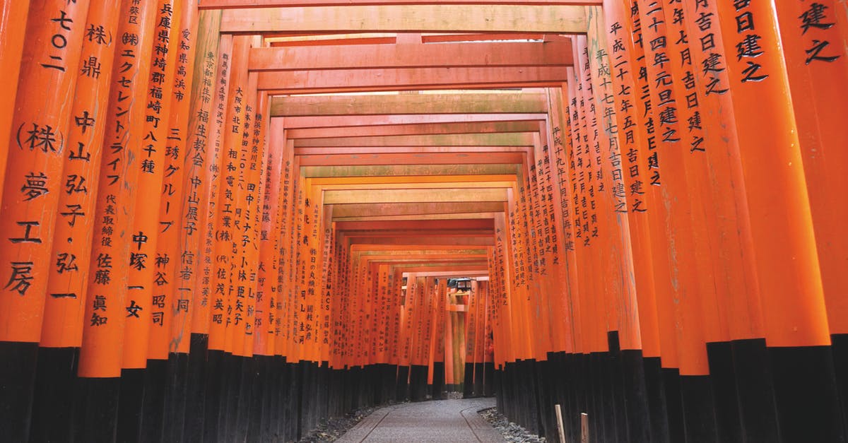 Proof of sufficient funds for transit in Japan - Orange and Black Wooden Tunnel