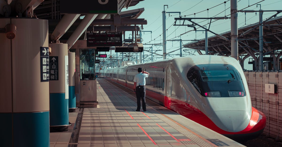 Public transportation cost and schedule in Maldives - Anonymous man standing on railway station platform near contemporary train