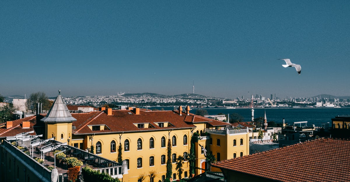 Question about booking flight to different city than destination city [duplicate] - Picturesque scenery of seagulls soaring above picturesque coastal district in Istanbul on sunny day