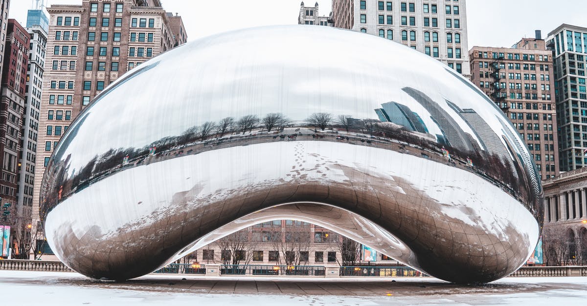 Questions about traveling from Kempegowda to Delhi to Chicago [closed] - White and Brown Concrete Building