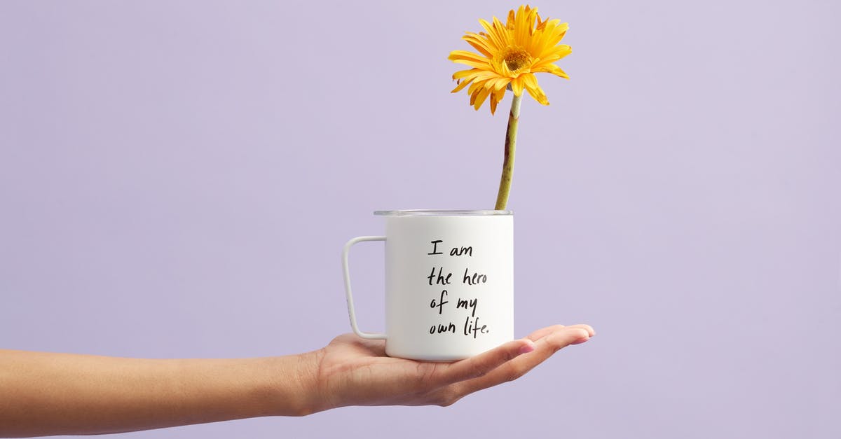 "Only hand luggage is included" - Yellow Petaled Flower In White Mug