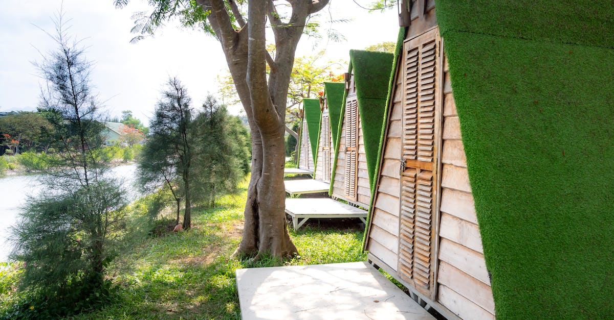 Random camping along Central and South Californian coastline - Picturesque scenery of green shore of river and wooden houses with triangular green roof located in row on sunny summer day