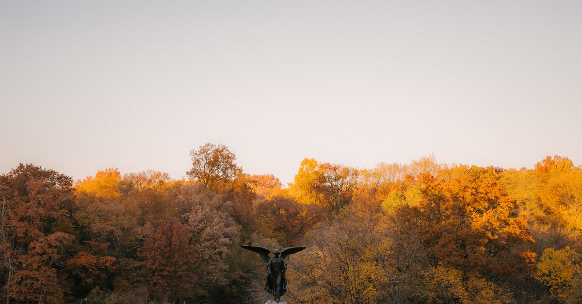 Reaching Famous Beaches within Tayrona National Park? - Fragment of Bethesda Fountain statue of Angel of the Waters against colorful trees placed in autumn Central Park in New York City in sunny day