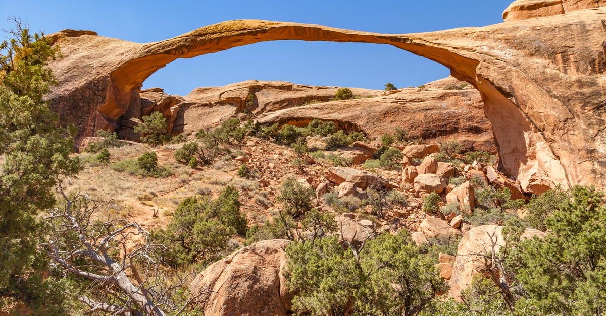 Rechecking checked in baggage when there's a stopover in the USA - Brown Wood Log on Brown Rock Formation