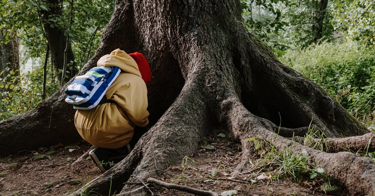 Regarding Muir Woods Shuttle - Person in Brown Jacket and Blue Denim Jeans Sitting on Brown Tree Trunk