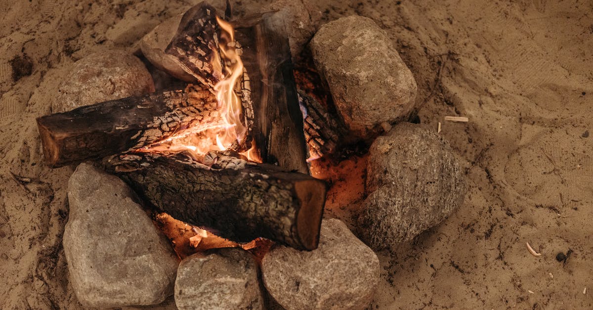 Regarding Muir Woods Shuttle - Brown Fire Wood on Fire