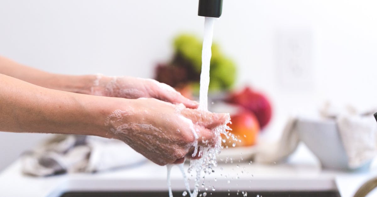 Regulations regarding cleaning of plane water cooking equipment? - Person Washing Hands