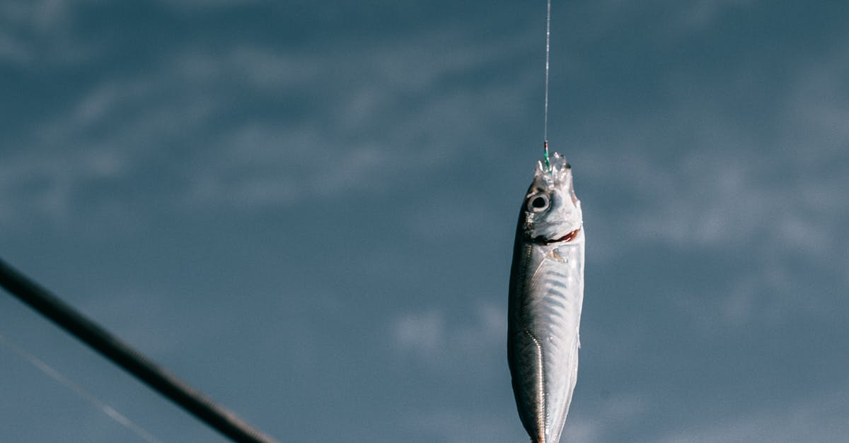 Regulations regarding cleaning of plane water cooking equipment? - Fish hanging on hook against blurred background