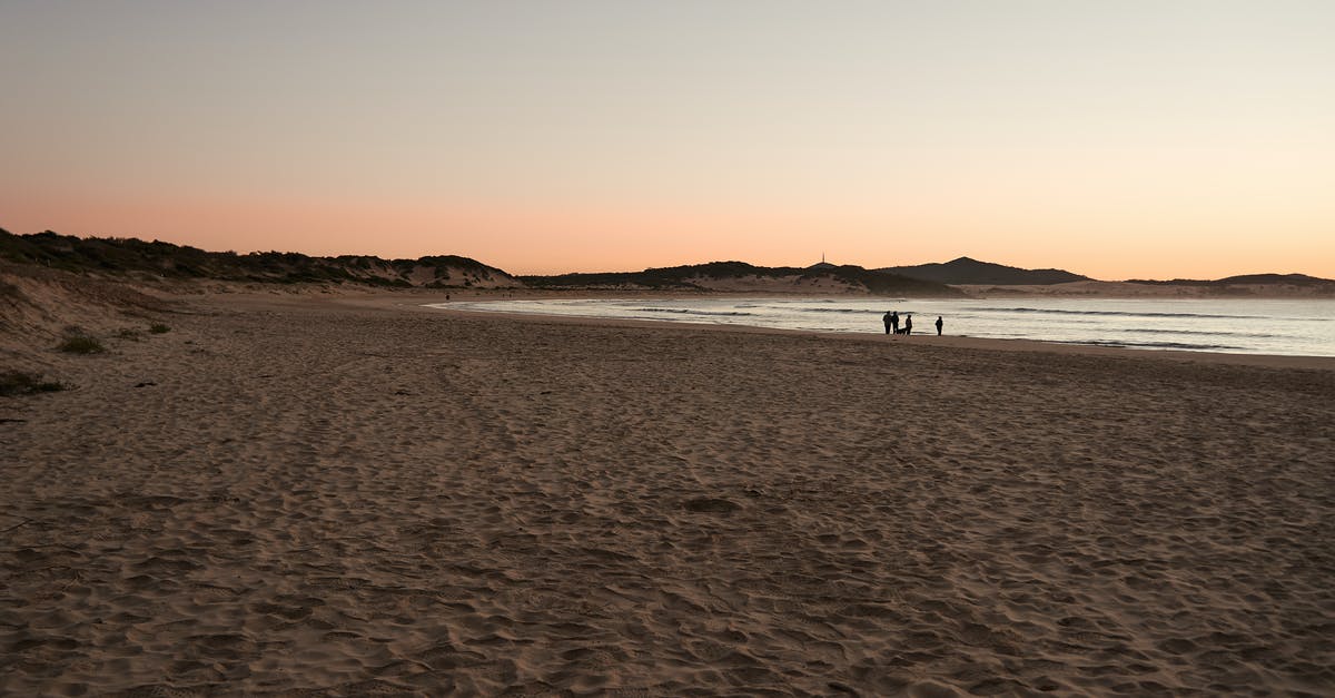 Reinstating expired MileagePlus miles - Scenery of a Beach during Dusk