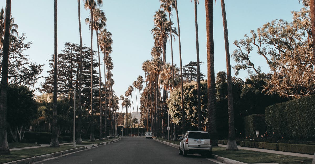 Rent a car at Palm Springs airport - White Vehicle Parked on Road Between Trees