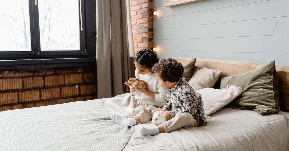 Renting a holiday house in the Riviera with a small child - Free stock photo of adult, animal, bed