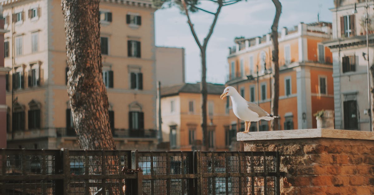 Renting an apartment for 2-3 months in Italy - Perched Seagull