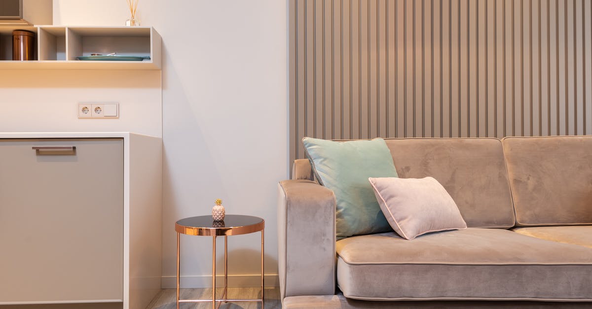 Renting EVs on the Canaries - Cozy sofa and light cabinets in modern living room