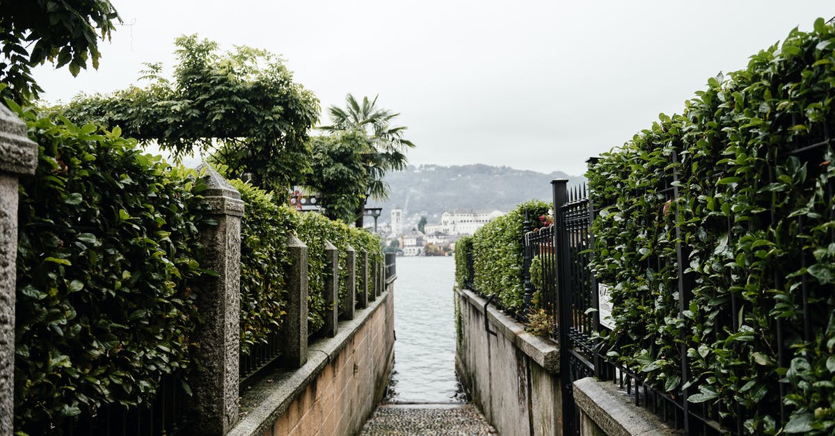 Requirements when transiting Italy - Green Trees Beside Body of Water