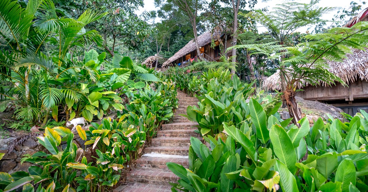 Resident permit finishes, can I travel on 90 day visa [duplicate] - Stairs to hut among lush greenery