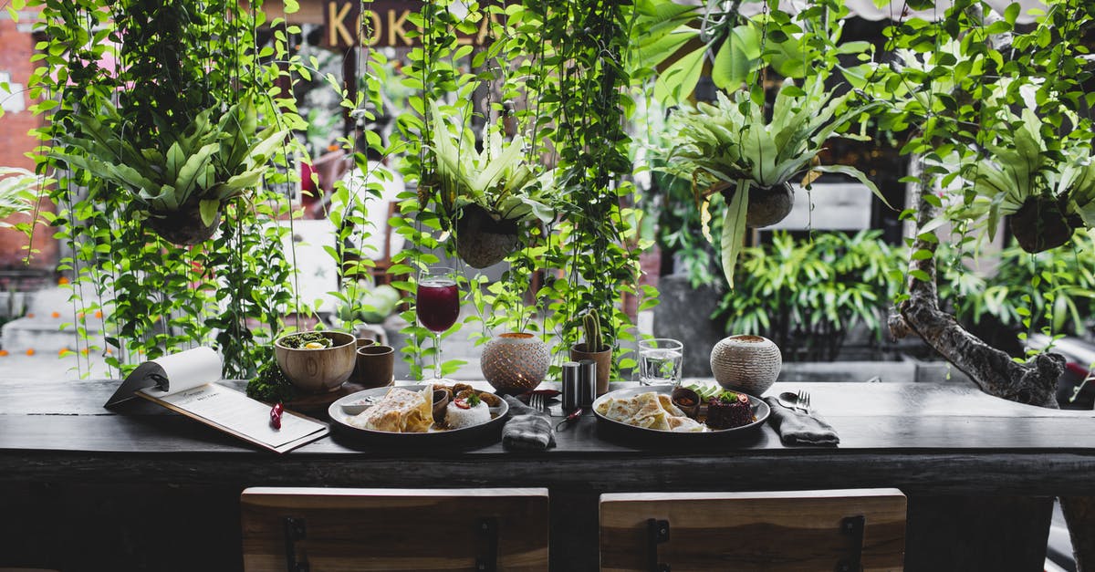 Restaurant in Paris decorated in kitchen utensils - Lunch for two placed on table against window with plants