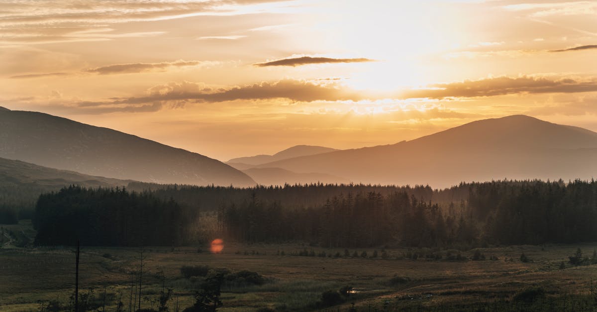 Restrictions on things brought into Ireland - Green Trees Near Mountains