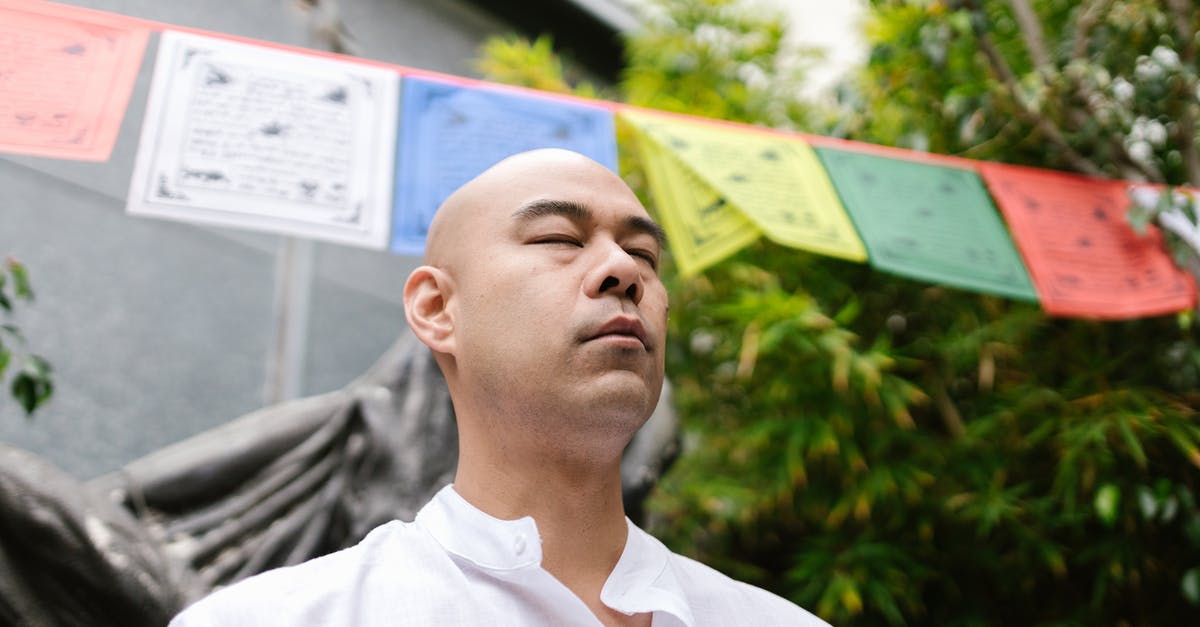 Retreat center for meditation near Frankfurt - Man in White Polo Shirt Standing Near Green Leaf Tree