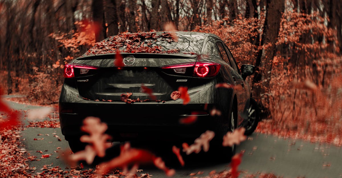 Right turn signal in Pennsylvania - can I turn on red? - Contemporary black car turning on rural road on autumn day