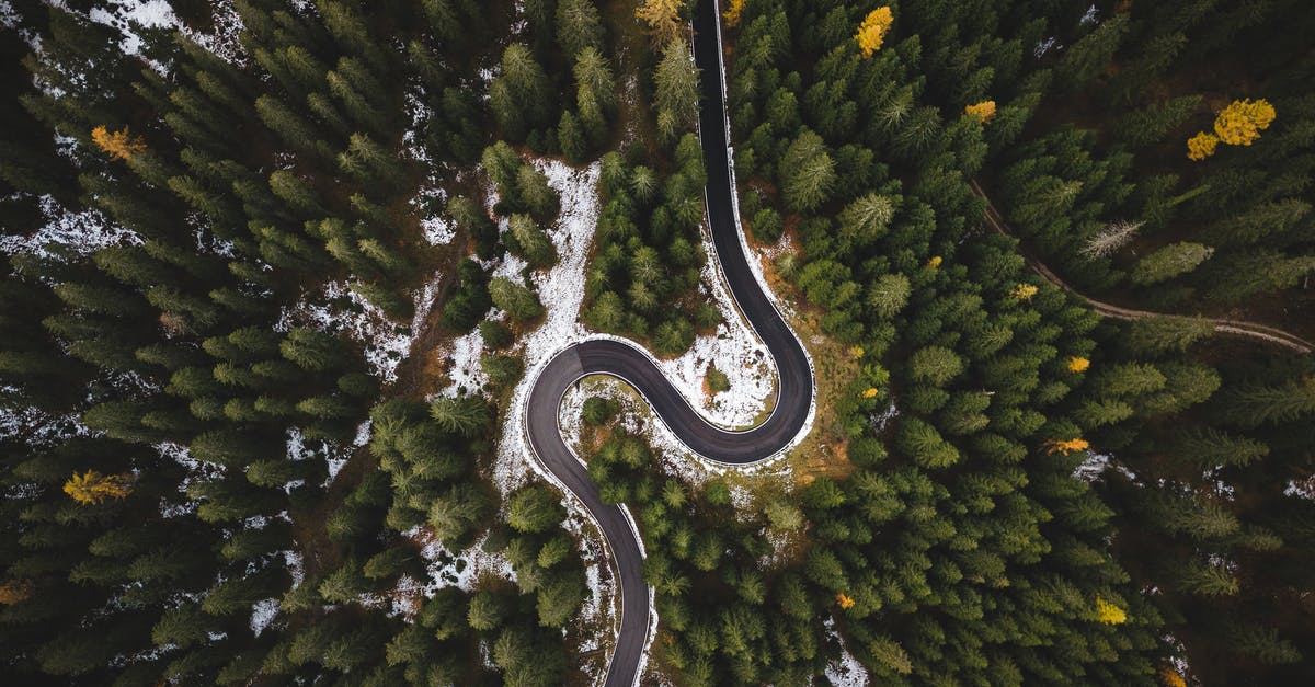 Road journey from Europe to Mecca? - Bird's Eye View Of Roadway Surrounded By Trees