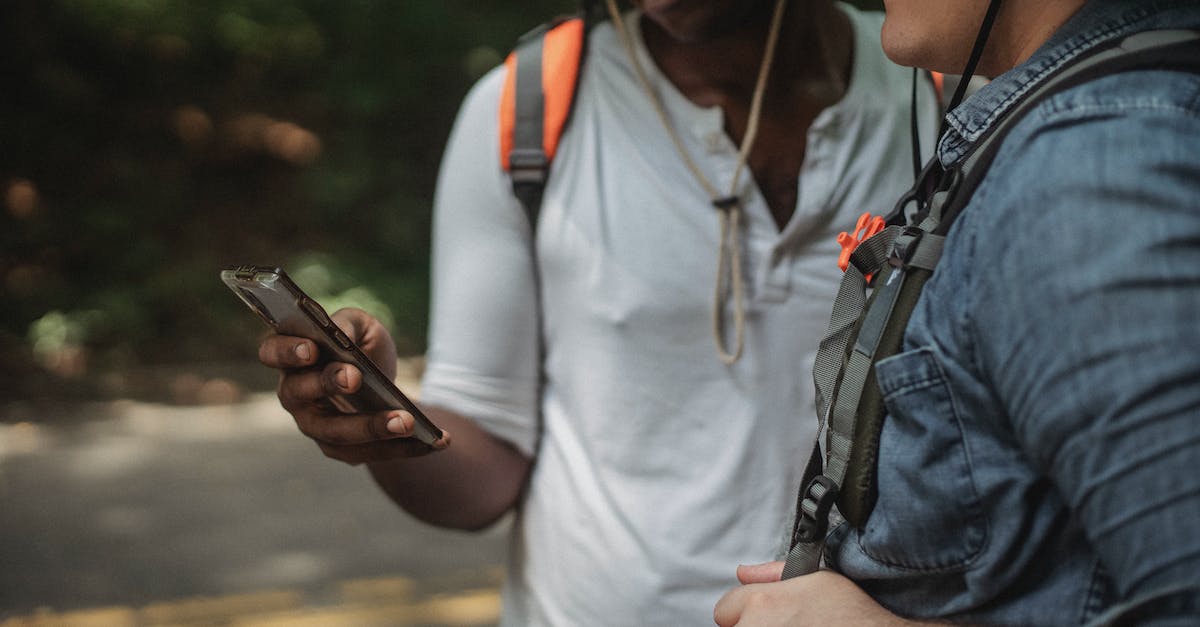 Road trip planner online - Crop multiracial backpackers browsing internet on smartphone on roadway