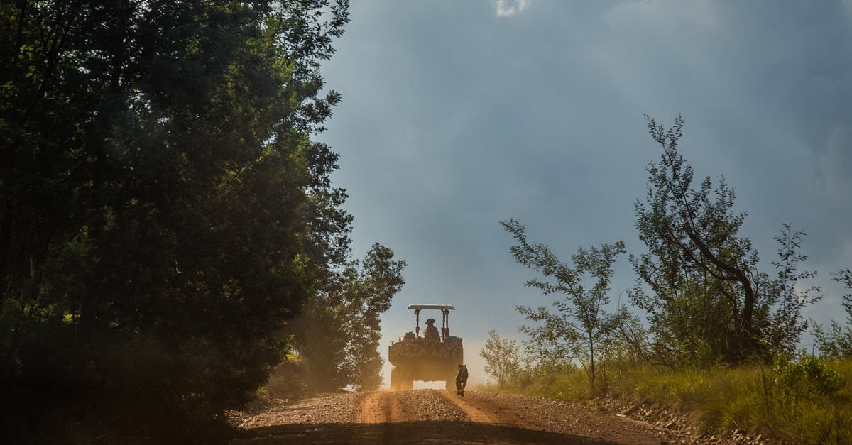 road trip with my dog [duplicate] - Black Tractor on Road Near Trees