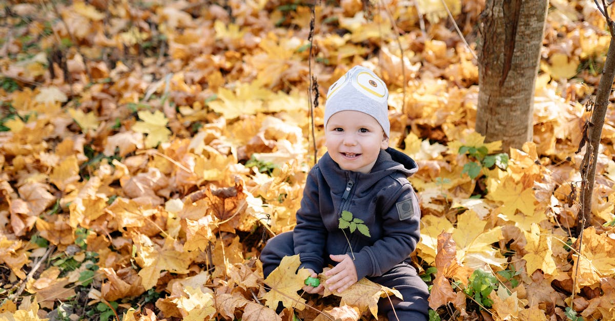 Roissybus - No more child fare, but how about baby? - Boy in Blue Jacket Sitting on Dried Leaves