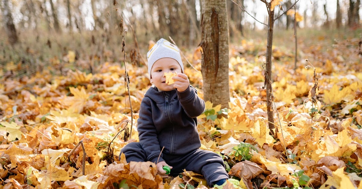 Roissybus - No more child fare, but how about baby? - Child in Black Jacket and Gray Knit Cap Sitting on Dried Leaves